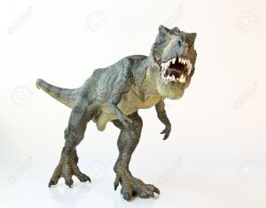 17588910-un-tyrannosaurus-rex-caccia-su-uno-sfondo-bianco